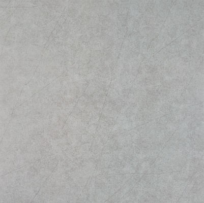 名称：LSI8019/6019/5019　规格：LSI8019/6019/5019